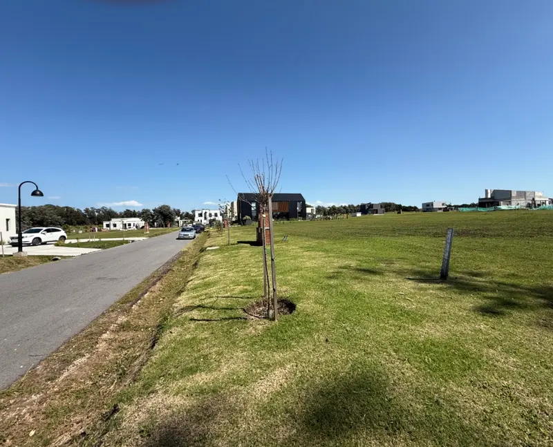 Captura de pantalla 2026-02-25 164159.png