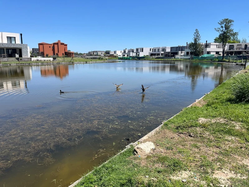 Terreno en venta · Laguna Grande, Villanueva, Tigre, GBA Norte, Provincia de Buenos Aires
