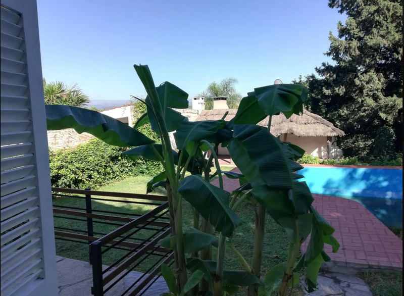 IMG_0236.jpeg