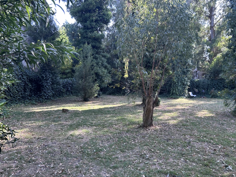IMG_8451.jpeg