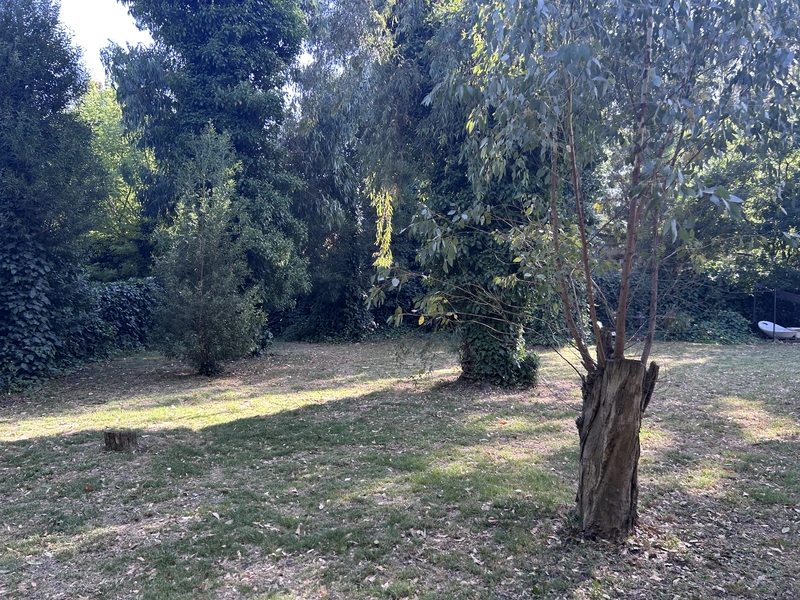 IMG_8453.jpeg
