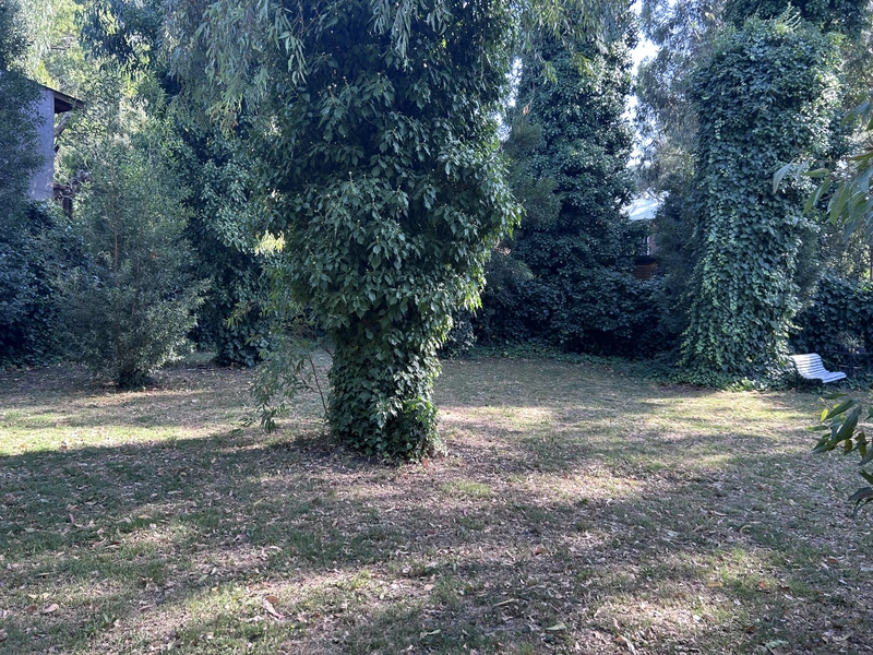IMG_8456.jpeg