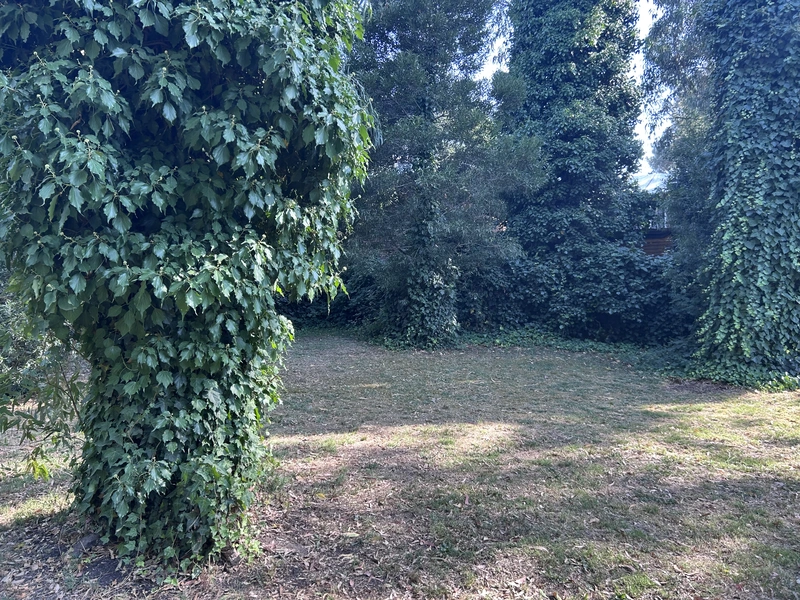 IMG_8457.jpeg