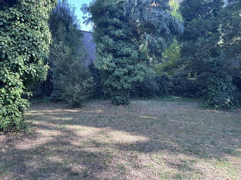 IMG_8459.jpeg
