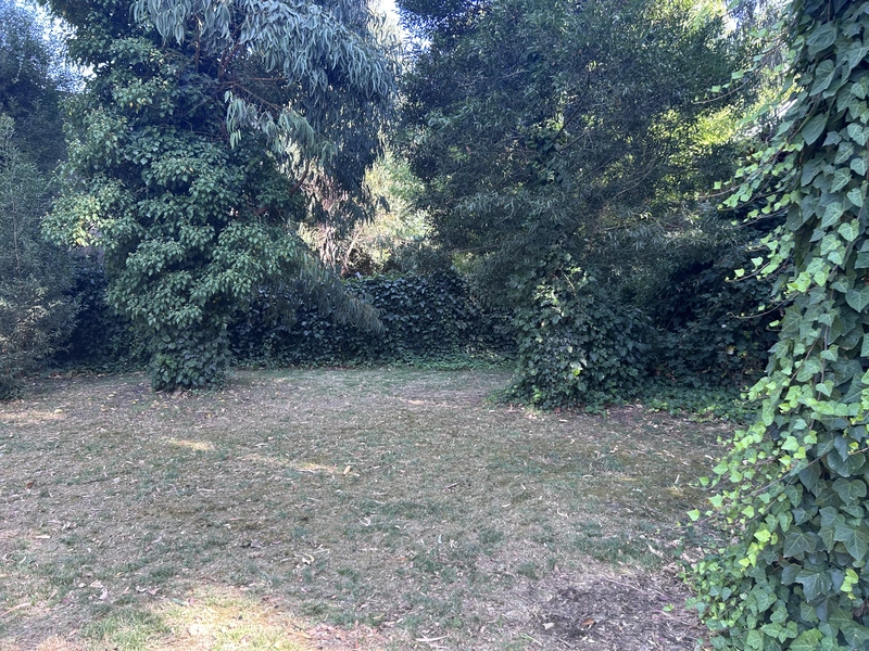 IMG_8460.jpeg