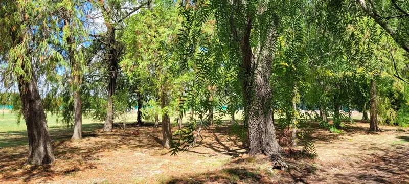 Foto 23