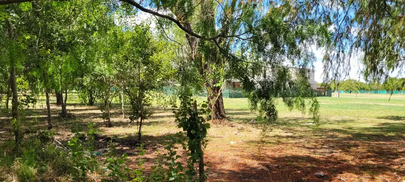 Foto 22