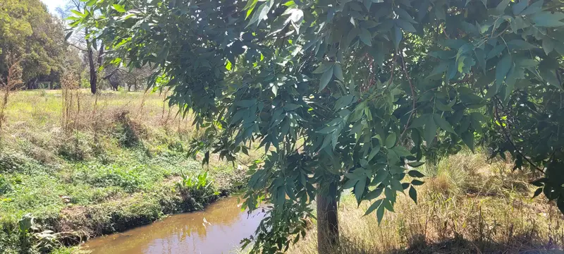 Foto 17