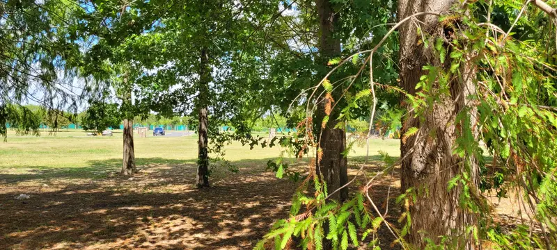 Foto 15