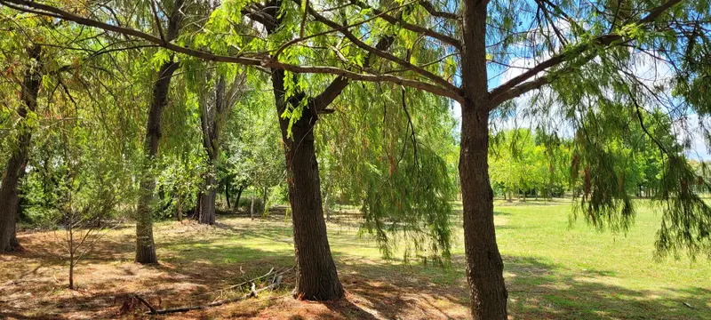 Foto 9