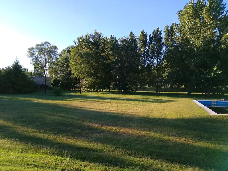 Foto 15