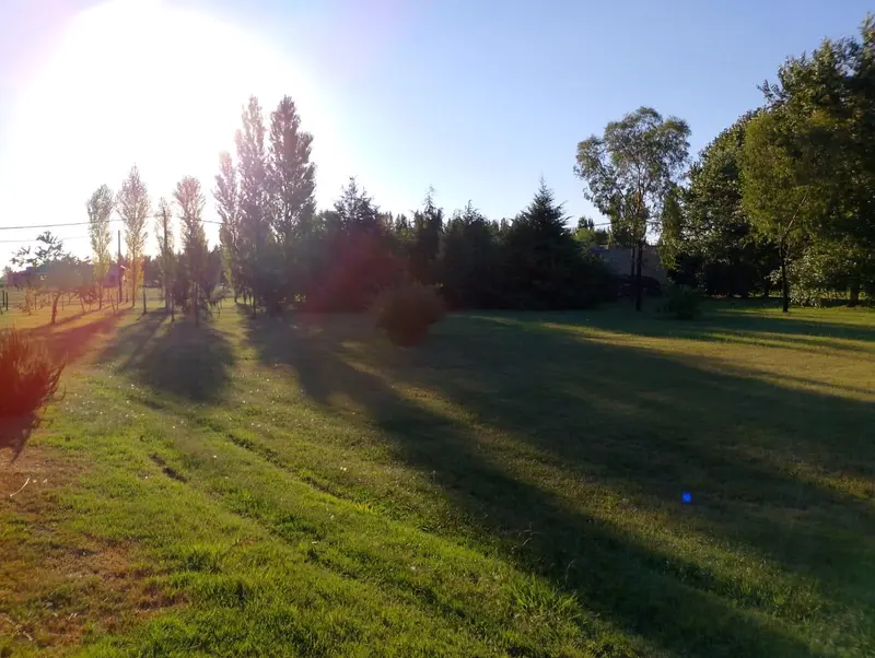 Foto 12