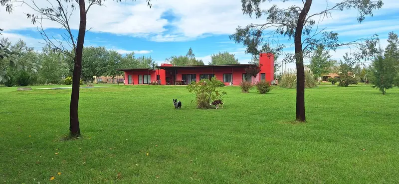 Foto 53
