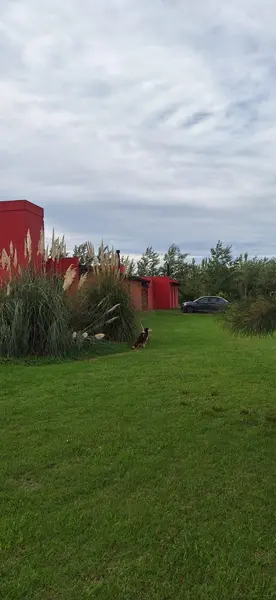 Foto 48