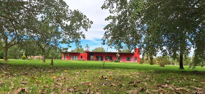 Foto 46