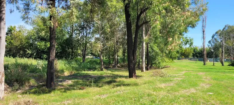 Foto 15