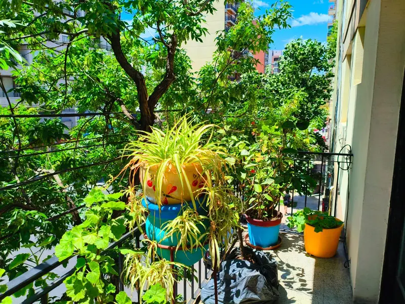 Foto 17