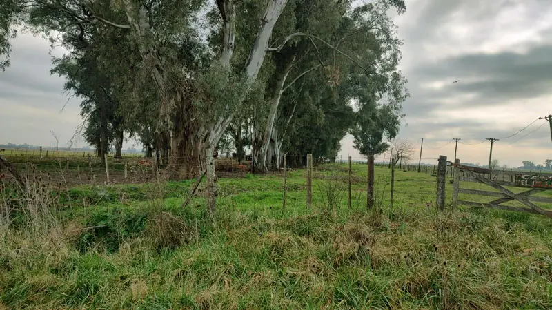 Foto 8