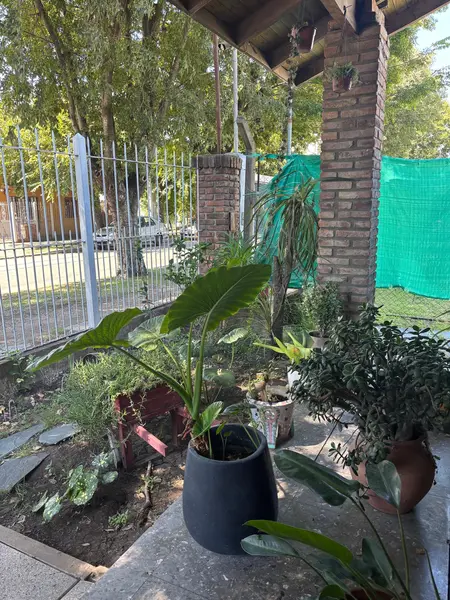 Foto 7