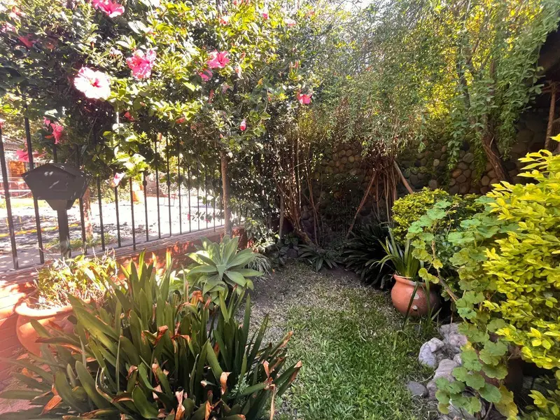Foto 15