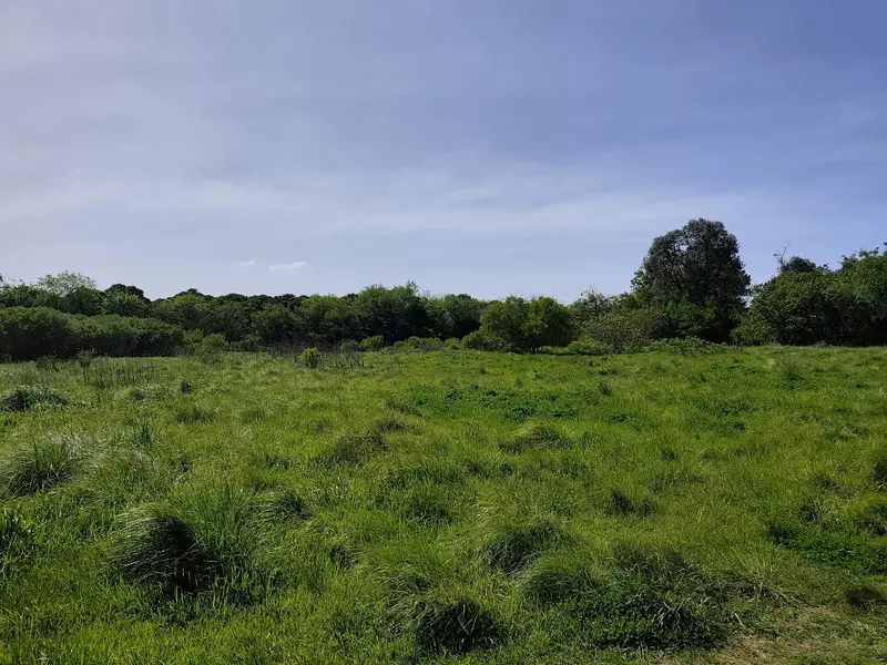 Terreno en venta · Otamendi, Campana, Campana, GBA Norte, Provincia de Buenos Aires