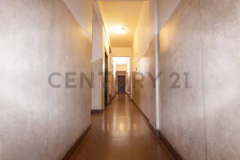 Foto 41