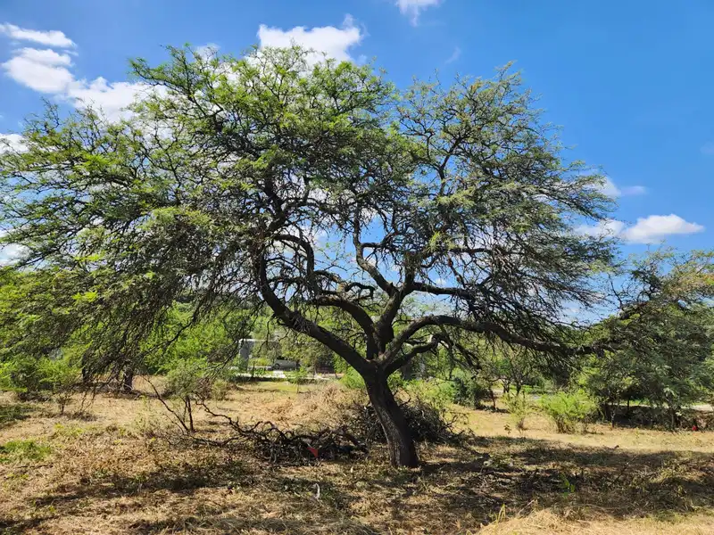 Terreno en venta · Mendiolaza, Colon, Córdoba
