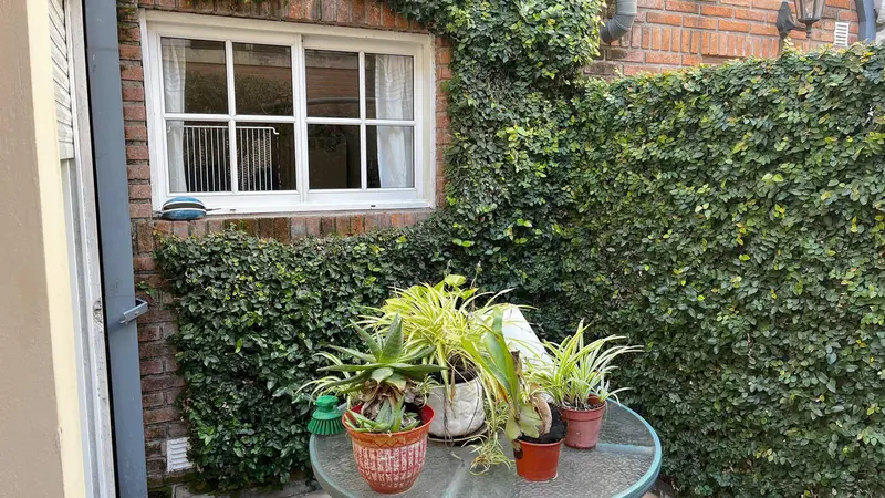 Foto 12