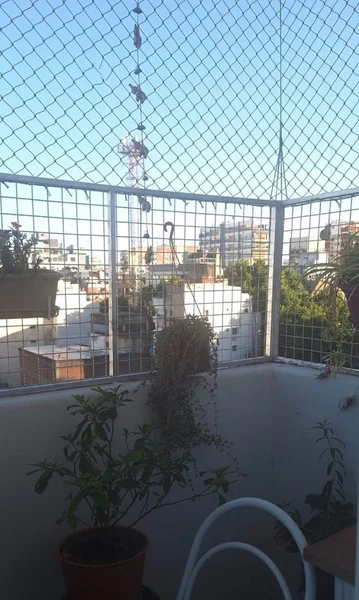 Foto 7