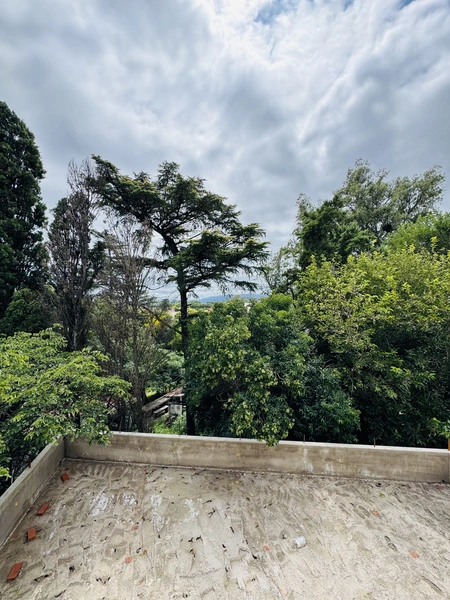 IMG_0696.jpeg