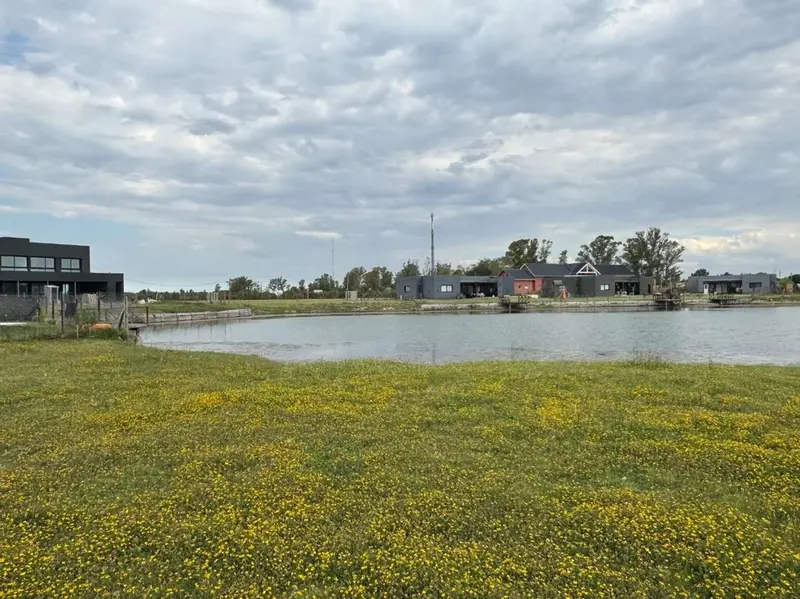 c7f70a2b-36ed-44d2-81d5-5c4475efebb9.webp