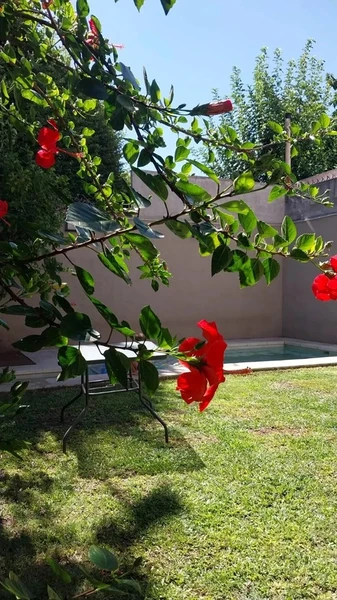 Foto 24