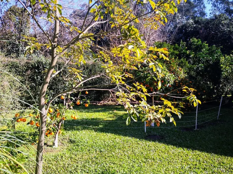 Foto 8