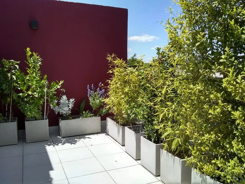 Foto 14