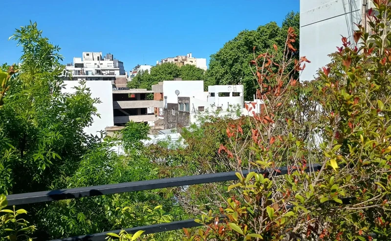 Foto 8