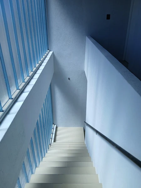 Foto 50
