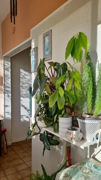 Foto 16