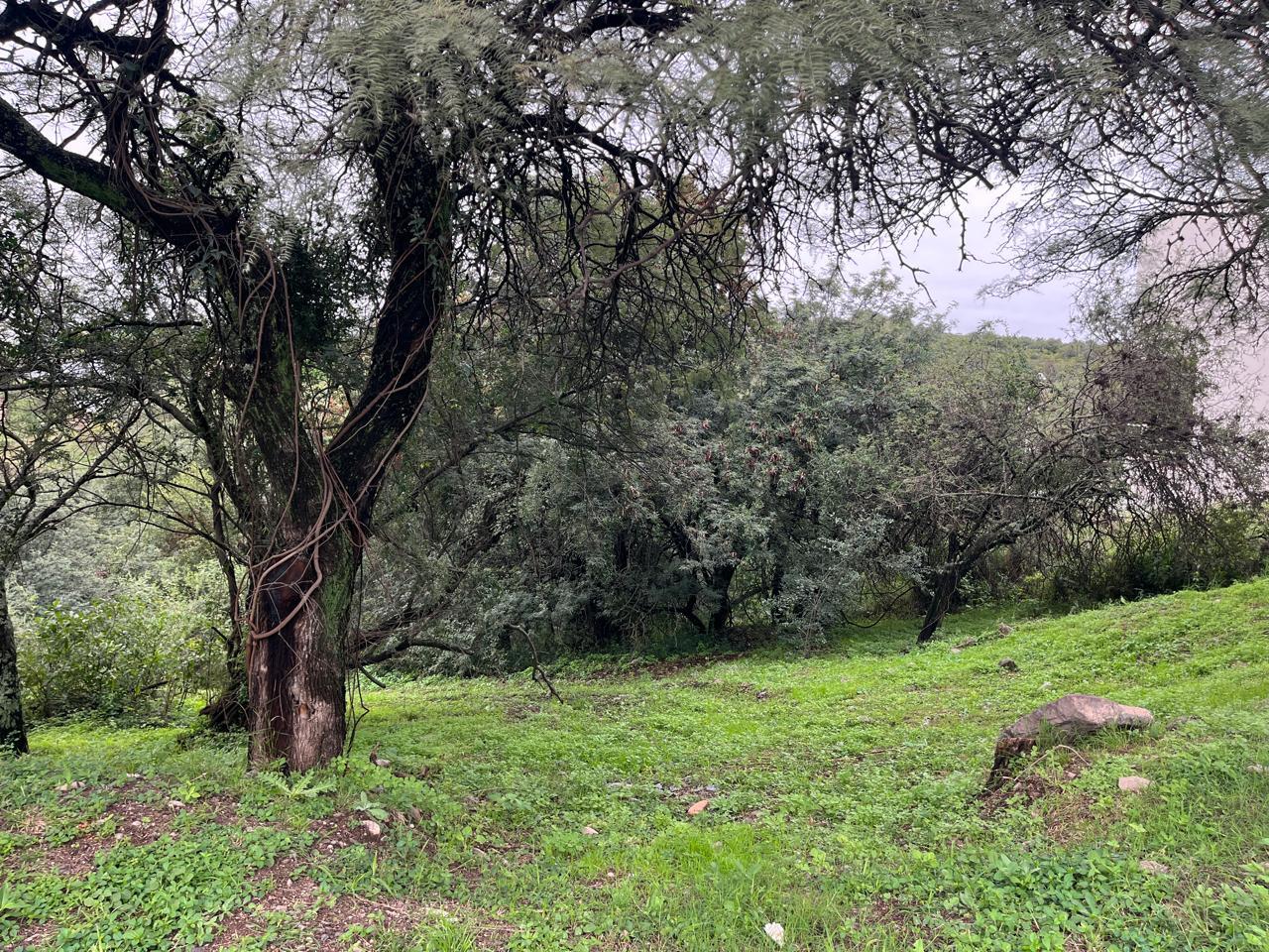 VENTA TERRENO, CINCO LOMAS. LA CALERA. ZONA VILLA WARCALDE - foto 4
