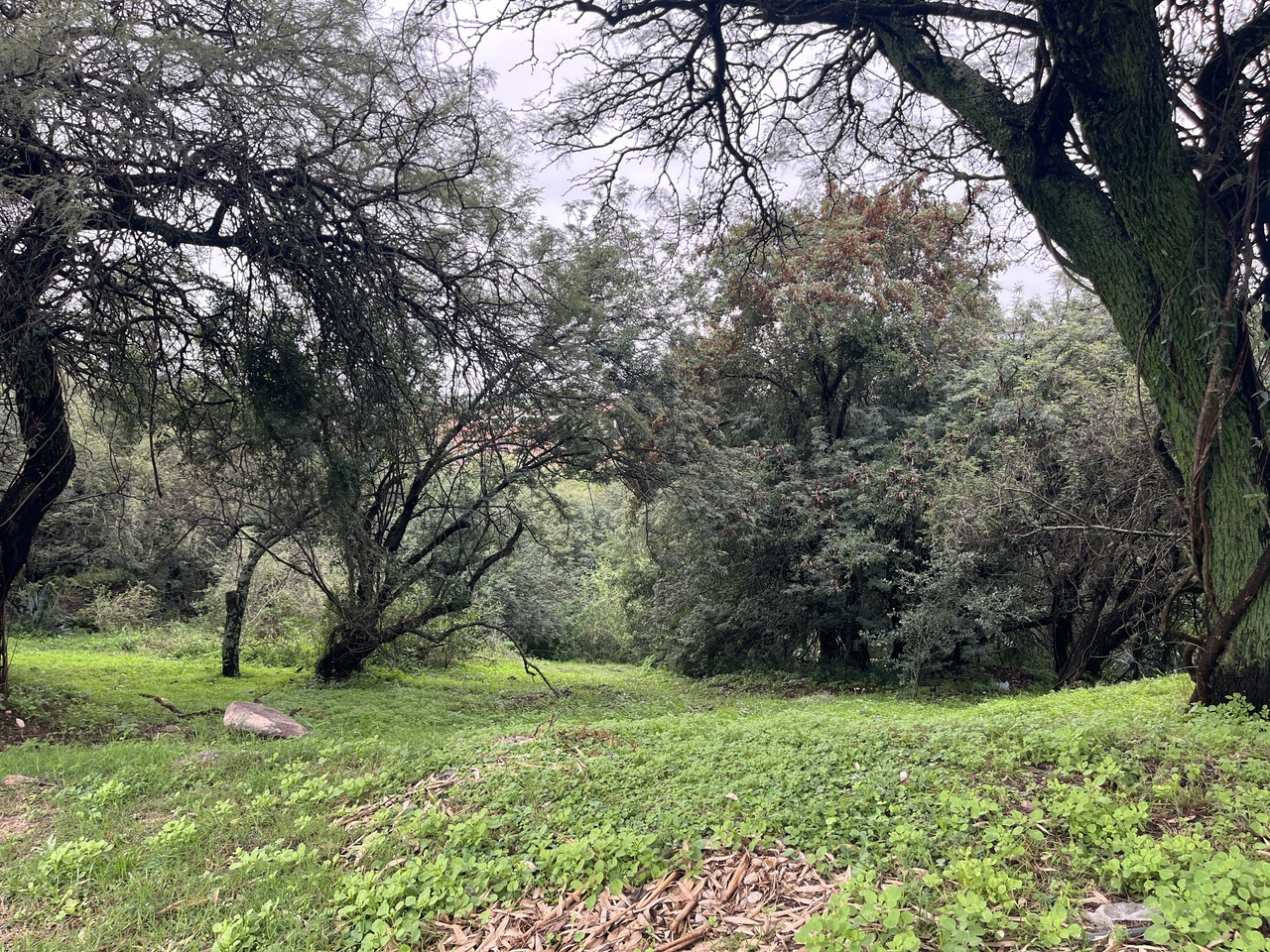 VENTA TERRENO, CINCO LOMAS. LA CALERA. ZONA VILLA WARCALDE - foto 3