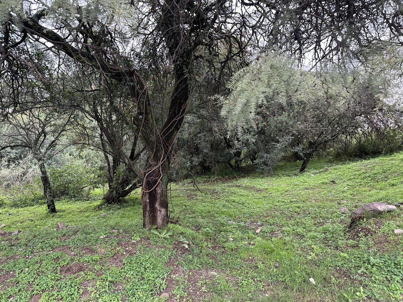 Terreno en venta · Cinco lomas, Villa Warcalde, La Calera, Colon, Córdoba