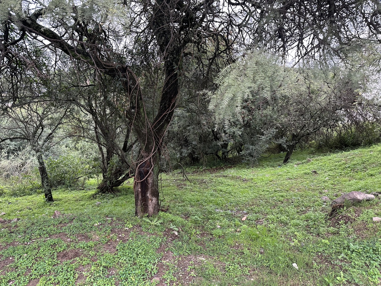 VENTA TERRENO, CINCO LOMAS. LA CALERA. ZONA VILLA WARCALDE