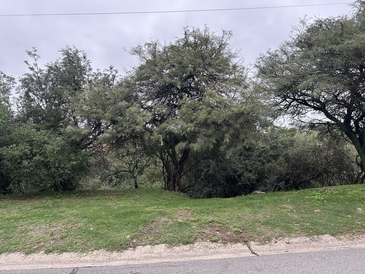 VENTA TERRENO, CINCO LOMAS. LA CALERA. ZONA VILLA WARCALDE - foto 2