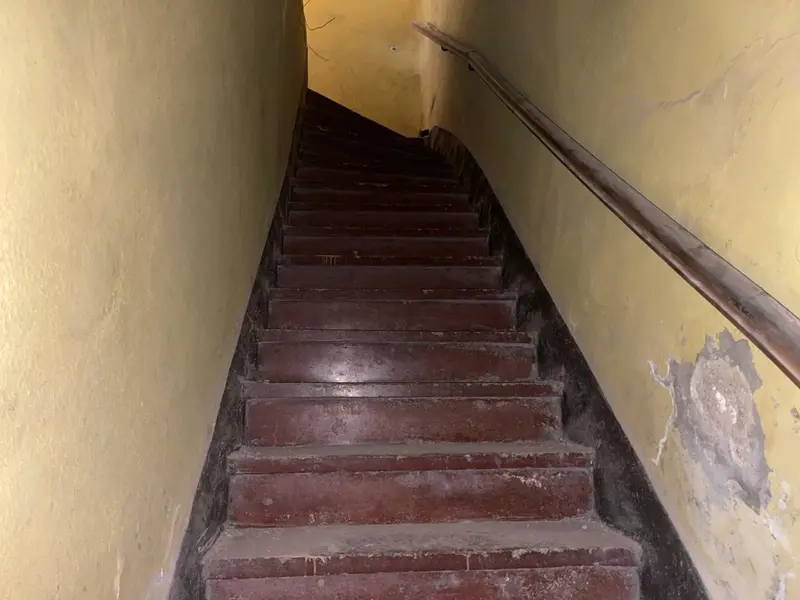 Foto 12