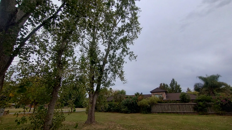 IMG_20260320_172204225_HDR.jpg