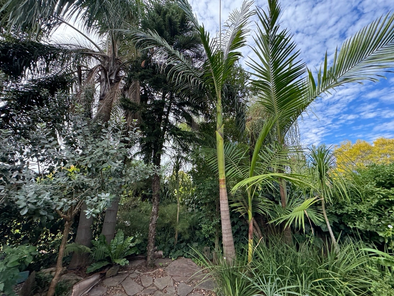 Foto 67