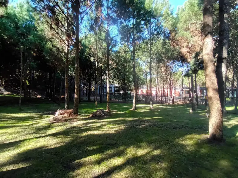 Foto 18