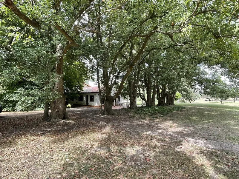 Foto 17