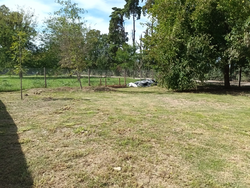 20260411_124101.jpg