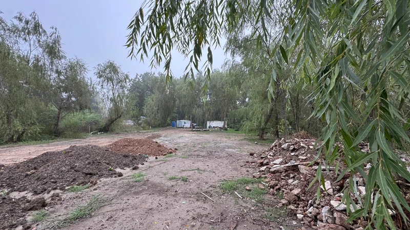 image4.jpeg
