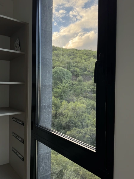 IMG_1682.jpeg